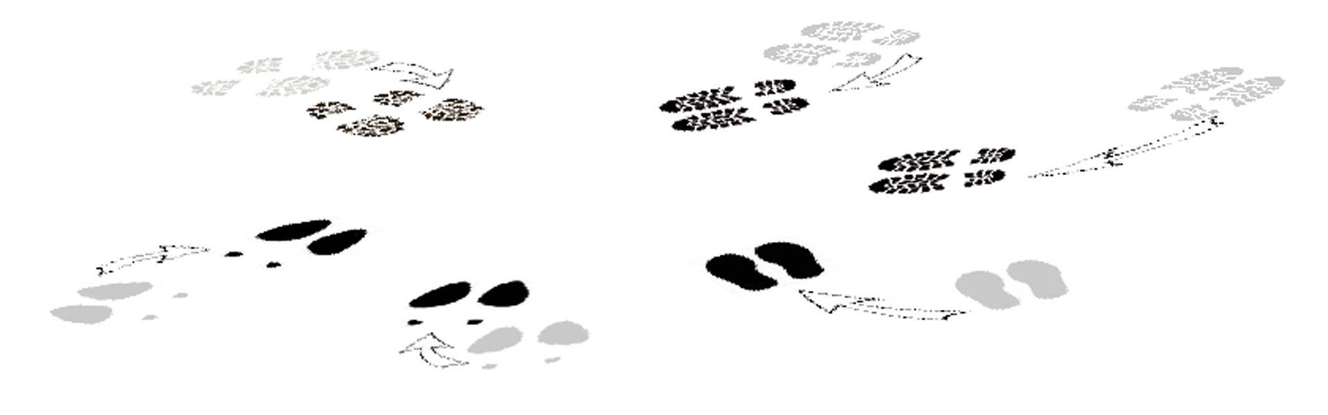 Systemische Aufstellung in Hannover  Familienaufstellung, Businessaufstellung, Organisationsaufstellung