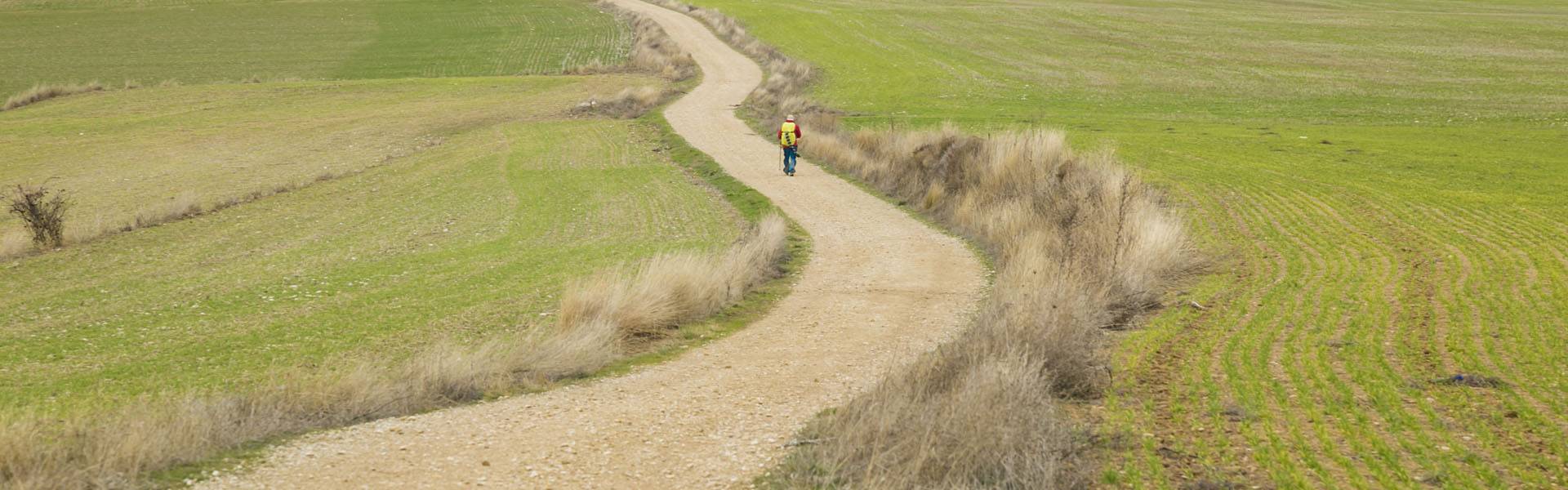 Coaching - Wandern und pilgern zu sich selbst im Wandercoaching